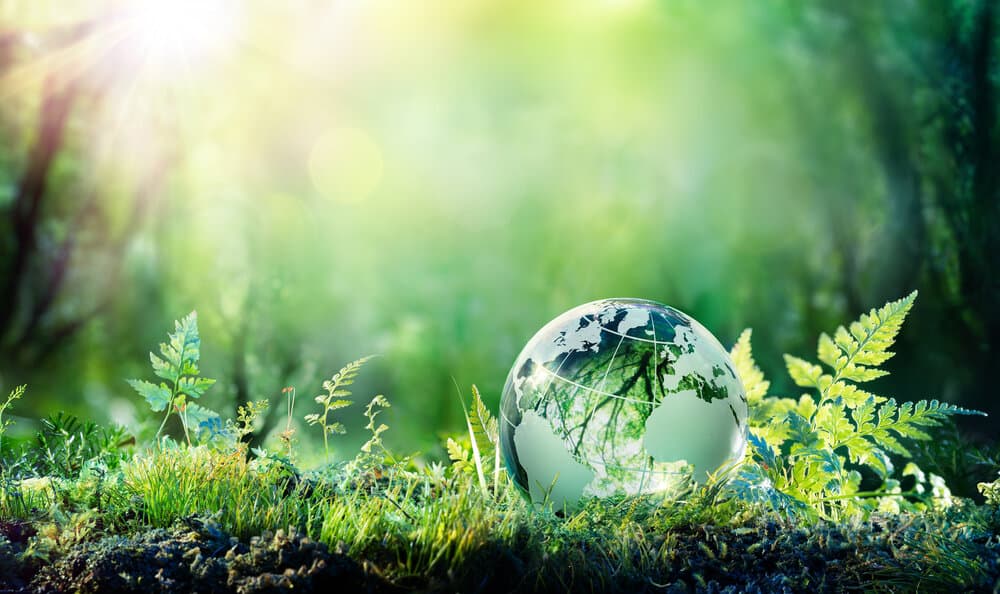 Green nature scene with sunlight and a reflective globe representing the Earth, surrounded by fresh grass, ferns, and plants. Eco-friendly and sustainability concept with a focus on environmental conservation and natural beauty.