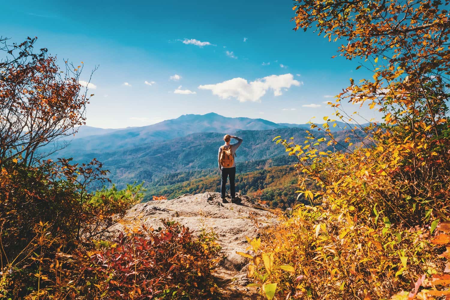 A man who is standing on a rock overlooking a beautiful valley. An example of traditional tourism that could also be virtual tourism.
