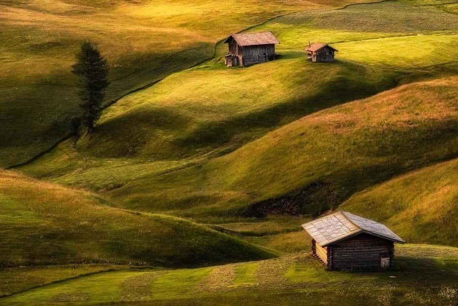 A country side image. There is a tree with 3 small cabins