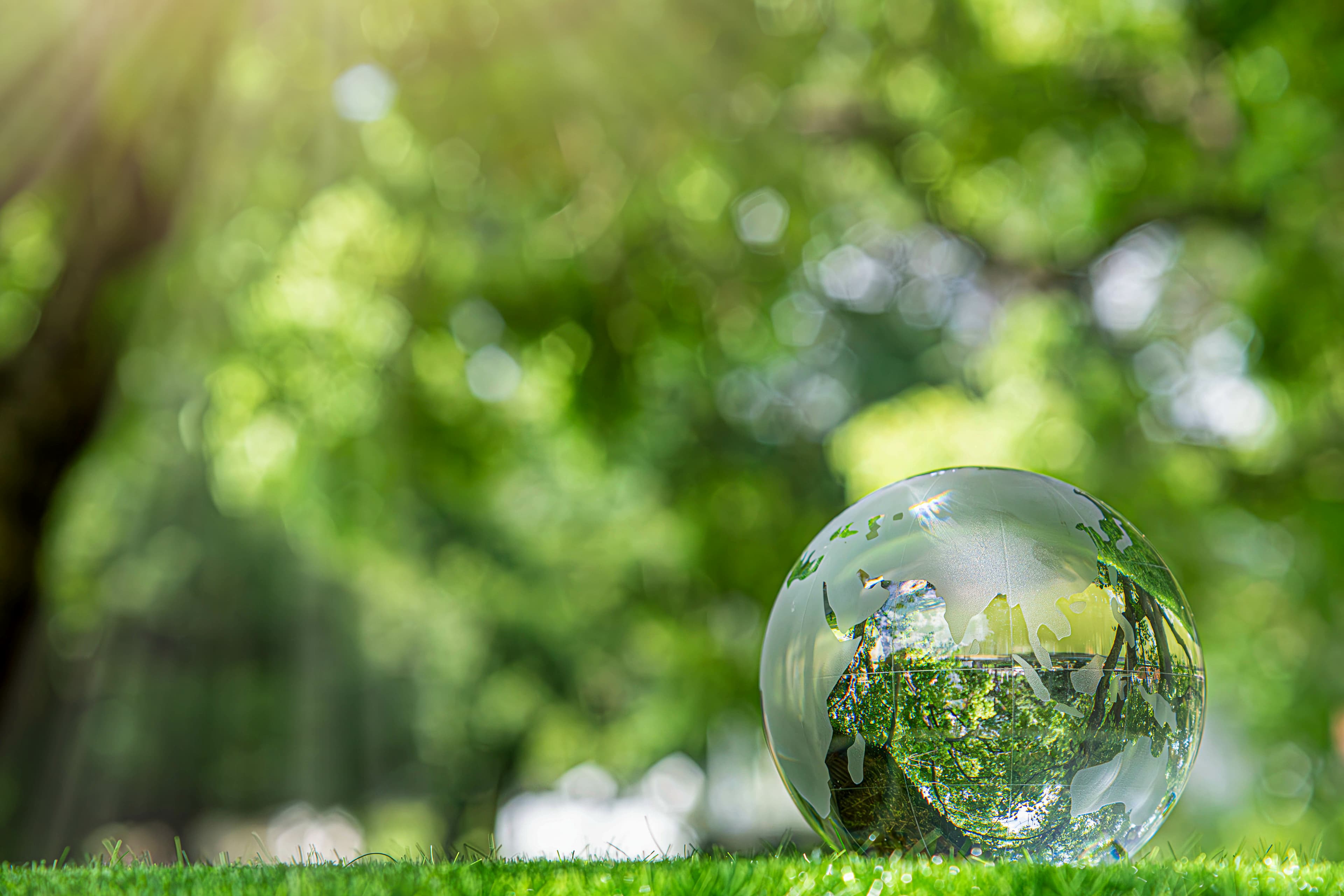 Glass globe on green grass reflecting trees and sunlight, symbolizing eco-friendly travel, sustainability, and nature conservation. Blurred greenery background evokes reducing carbon footprint, green tourism, and preserving natural environments.